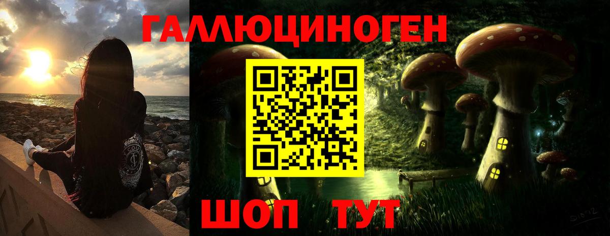 Псилоцибиновые грибы MAGIC MUSHROOMS  Вход с VPN  Сальск  Галлюциногенные грибы Psilocybine cubensis 
